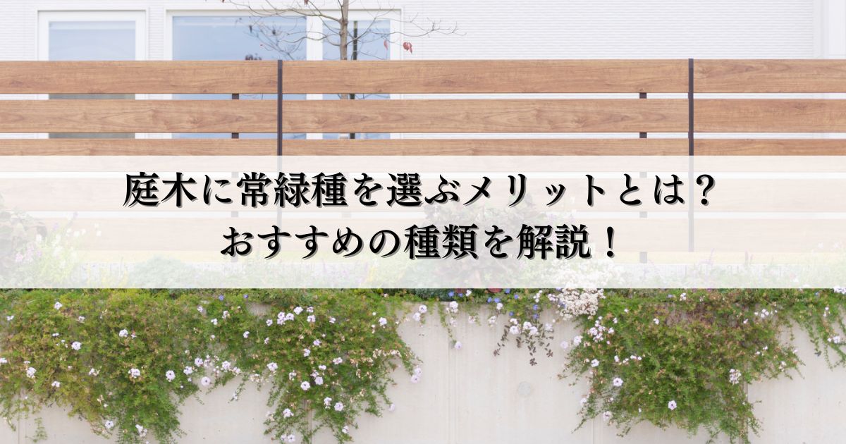 庭木に常緑種を選ぶメリットとは？おすすめの種類を解説！