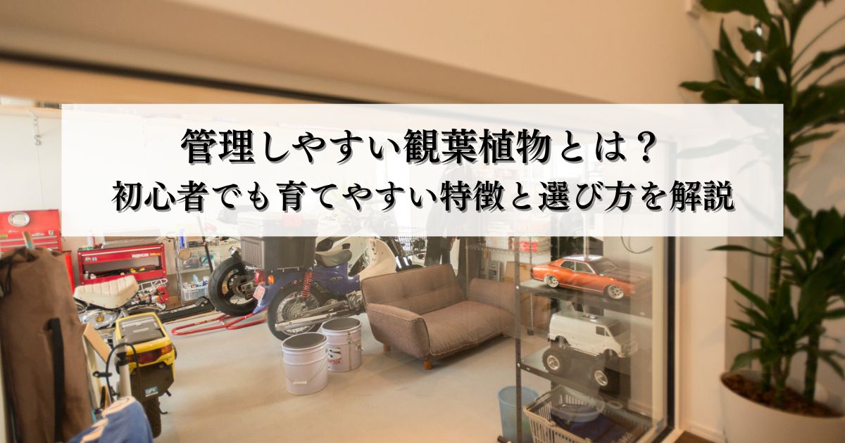 管理しやすい観葉植物とは？初心者でも育てやすい特徴と選び方を解説